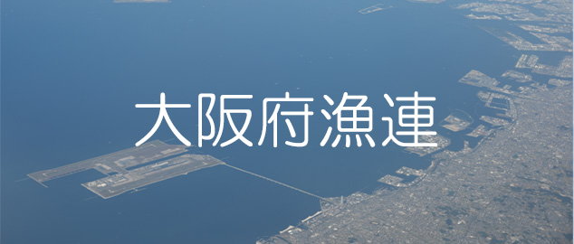主な取り組み