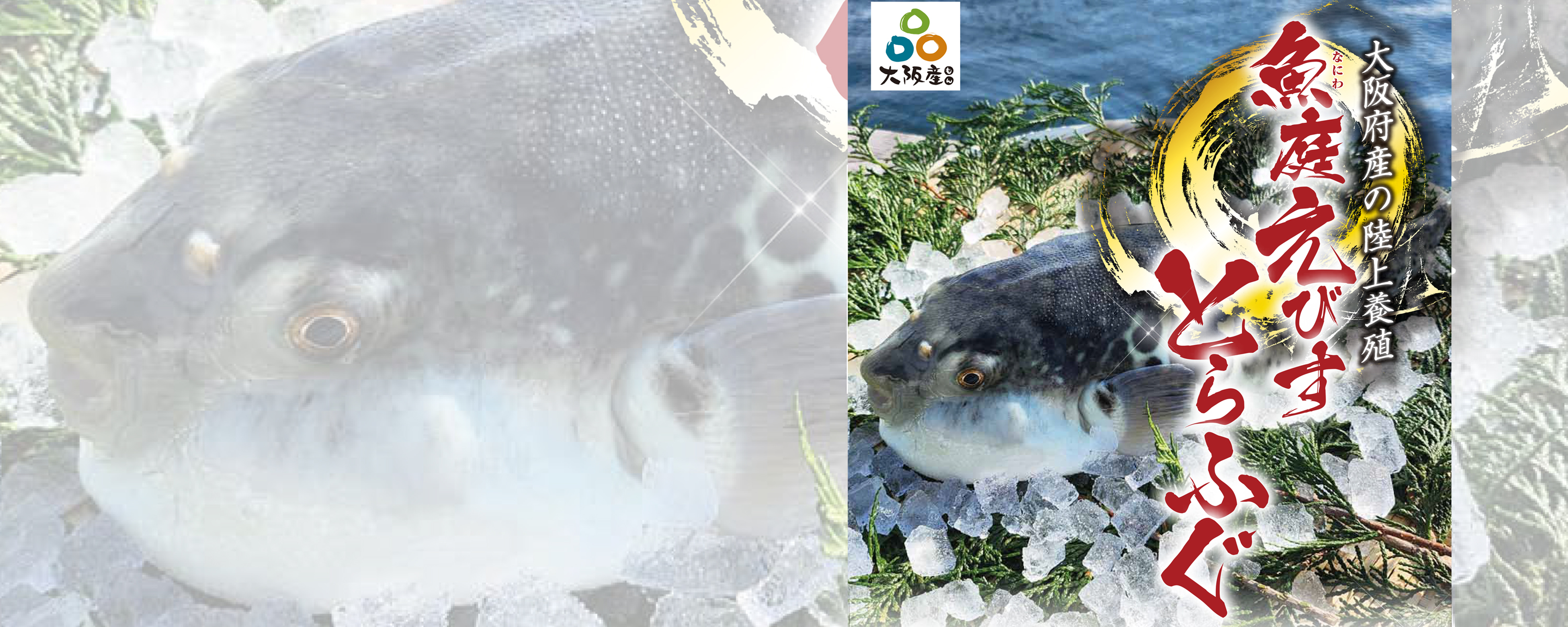 魚庭（なにわ）の海を育てる・大阪府漁連