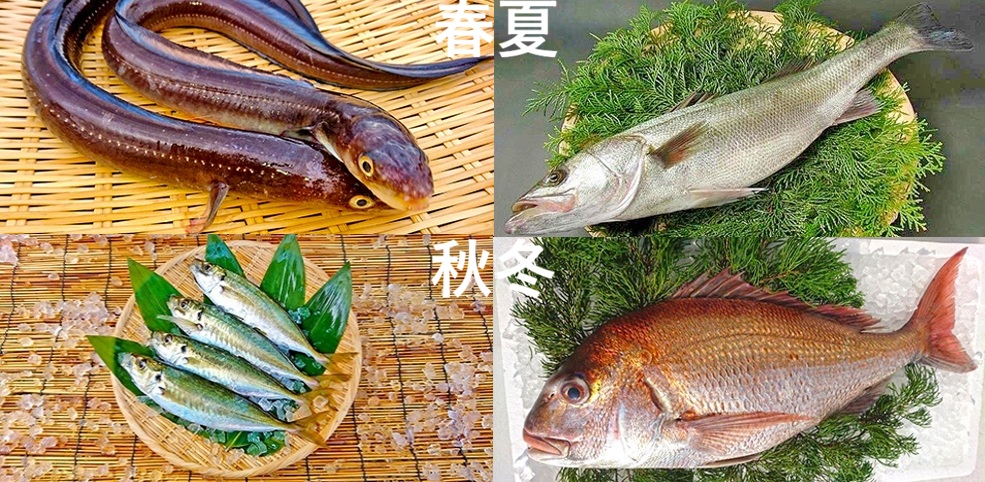 季節毎の水揚げ情報