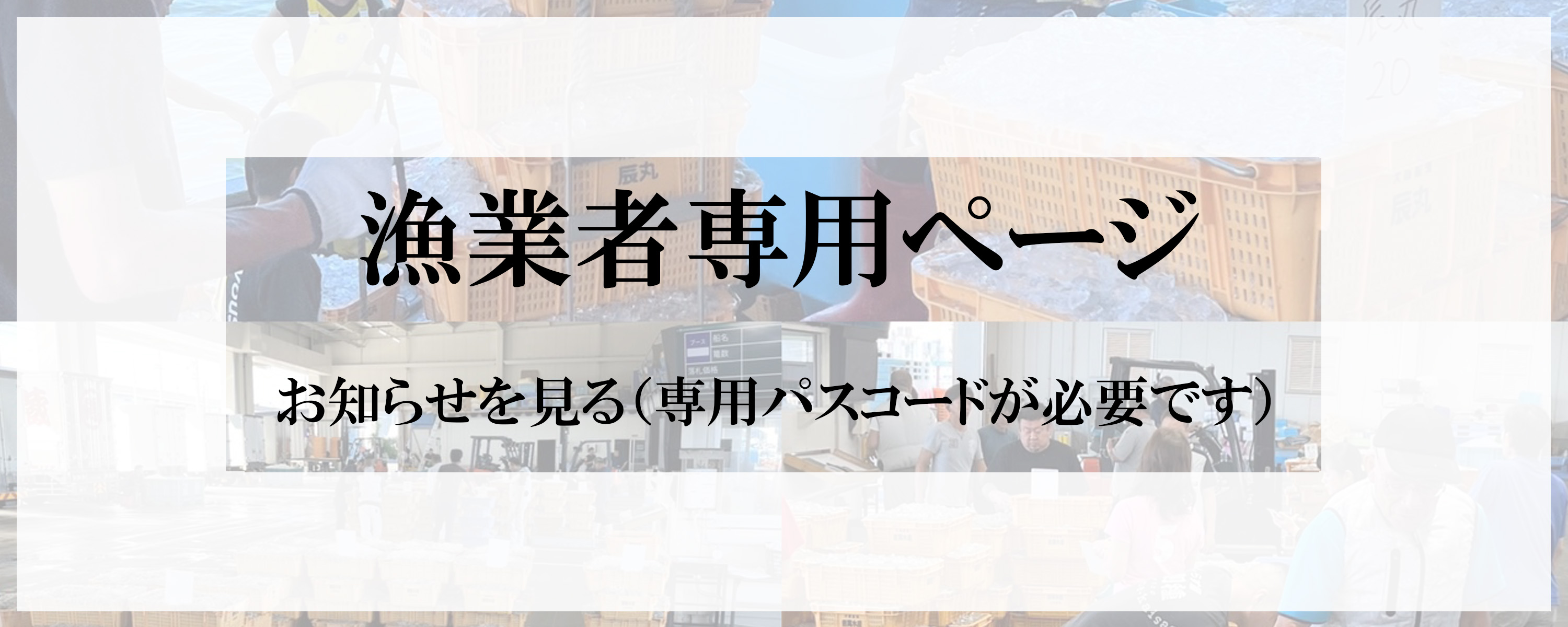 漁業者専用