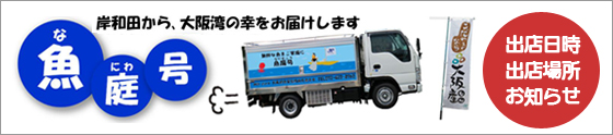 魚庭号
