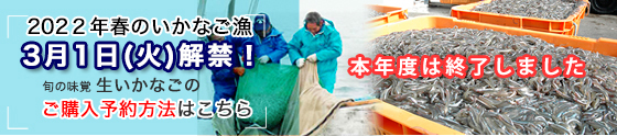 いかなご解禁