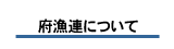 大阪府漁連について