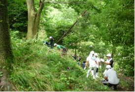 神於山（魚庭の森）