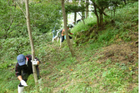 神於山（魚庭の森）