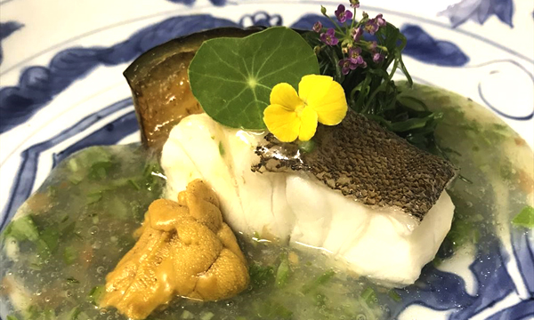 あこう