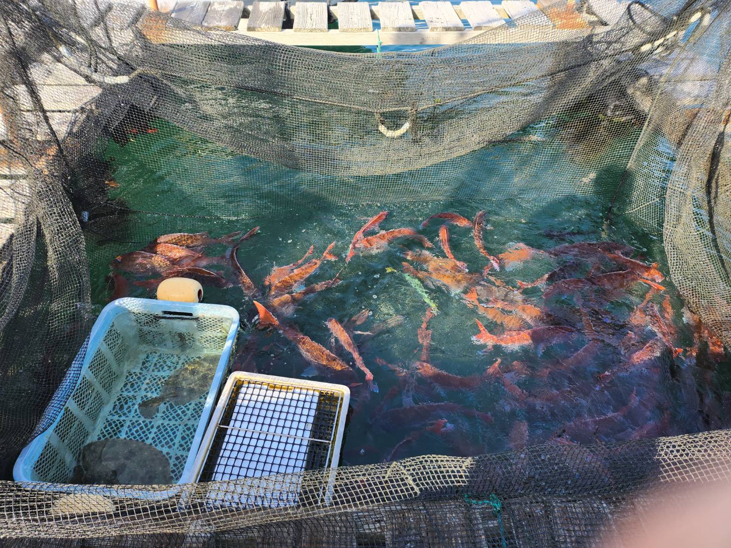 漁船と大阪湾